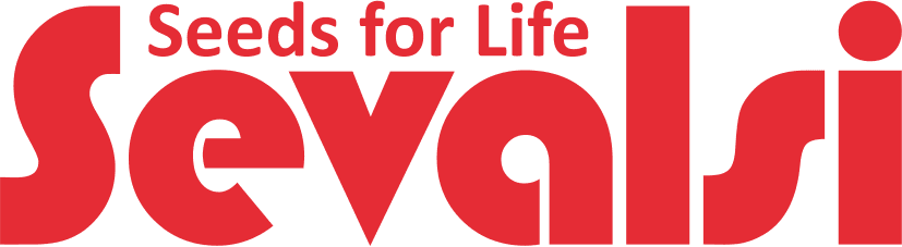 Название компании, которое будут видеть посетители сайта